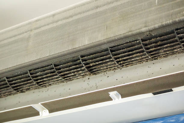 Best Local Air Duct Cleaning Services  in Box Elder, SD